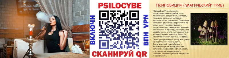 Купить закладки Каменка Галлюциногенные грибы GOLDEN TEACHER